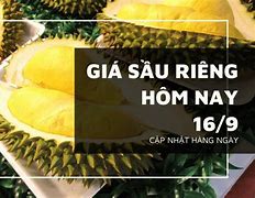 Báo Giá Sầu Riêng Hôm Nay