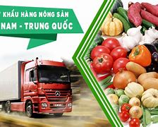 Các Mặt Hàng Nông Sản Xuất Khẩu Sang Trung Quốc