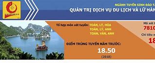 Học Phí Ngành Quản Trị Du Lịch Và Lữ Hành