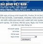 Nhập Khẩu Phần Mềm Có Phải Khai Hải Quan Không