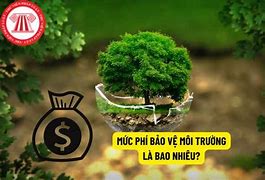 Thời Hạn Nộp Tờ Khai Phí Bảo Vệ Môi Trường