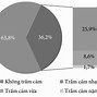 Tỷ Lệ Trầm Cảm Ở Mỹ